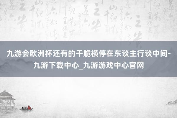 九游会欧洲杯还有的干脆横停在东谈主行谈中间-九游下载中心_九游游戏中心官网