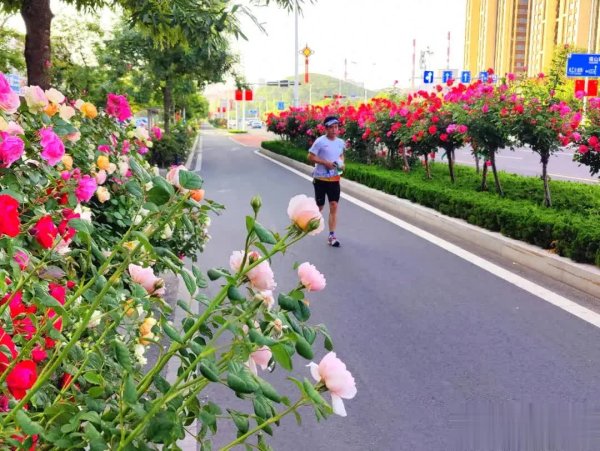 九游会体育涵盖月季、蔷薇、绣线菊、杜鹃、金鸡菊等赏花点-九游下载中心_九游游戏中心官网