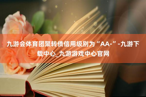 九游会体育团聚转债信用级别为“AA-”-九游下载中心_九游游戏中心官网