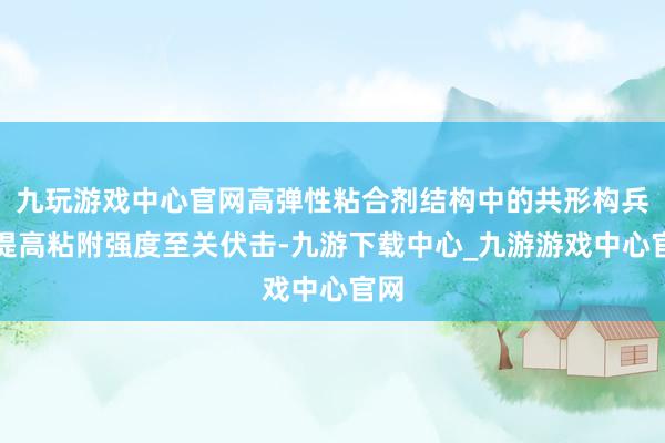 九玩游戏中心官网高弹性粘合剂结构中的共形构兵对提高粘附强度至关伏击-九游下载中心_九游游戏中心官网