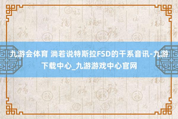 九游会体育 　　淌若说特斯拉FSD的干系音讯-九游下载中心_九游游戏中心官网