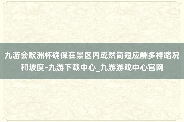 九游会欧洲杯确保在景区内或然简短应酬多样路况和坡度-九游下载中心_九游游戏中心官网